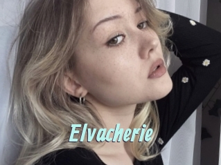 Elvacherie