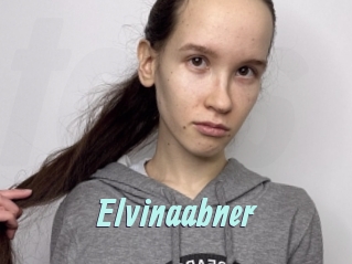Elvinaabner