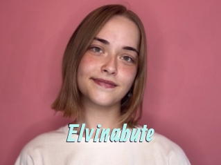 Elvinabute