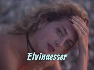 Elvinaesser
