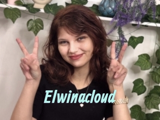 Elwinacloud