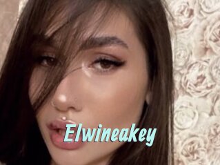 Elwineakey