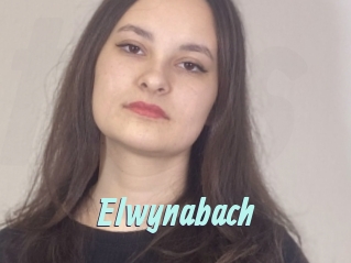 Elwynabach