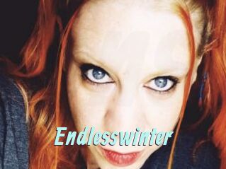 Endlesswinter