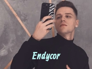 Endycor