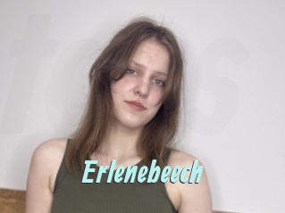 Erlenebeech