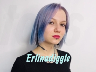 Erlinadiggle