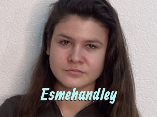 Esmehandley