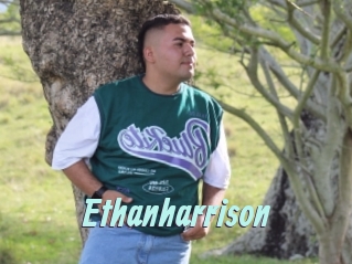 Ethanharrison