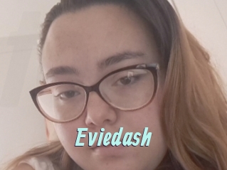 Eviedash