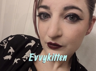 Evvykitten