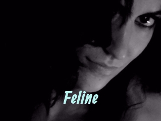 Feline