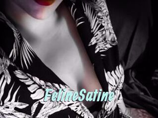 FelineSatine