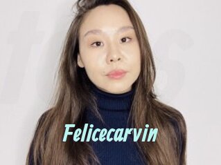 Felicecarvin