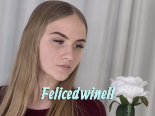 Felicedwinell