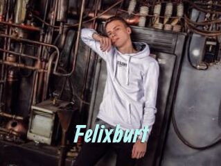 Felixburt