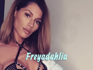Freyadahlia