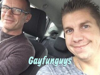 Gayfunguys