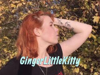 GingerLittleKitty