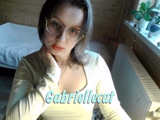 Gabriellecat