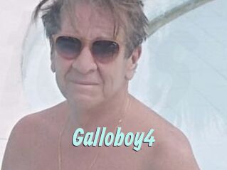 Galloboy4