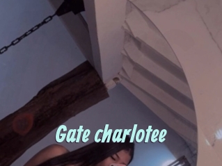 Gate_charlotee