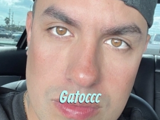 Gatoccc