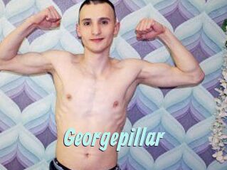 Georgepillar