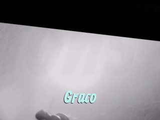 graco Ton Show