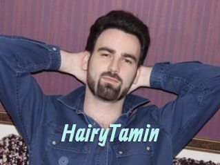 HairyTamin