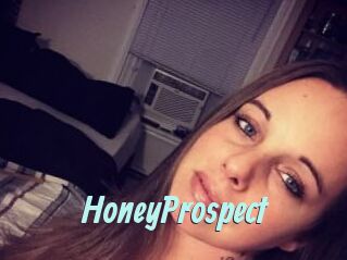 HoneyProspect