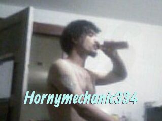 Hornymechanic334
