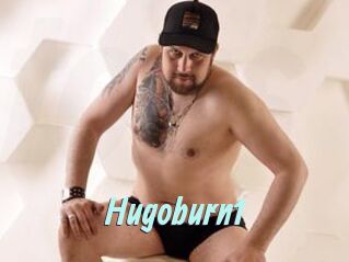 Hugoburn1