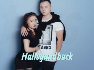 Halleyandbuck