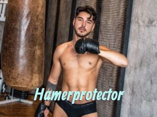Hamerprotector