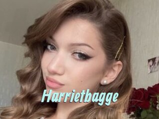 Harrietbagge