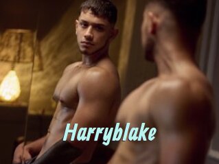 Harryblake
