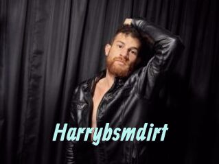 Harrybsmdirt