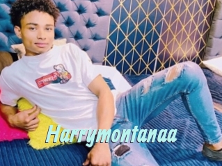 Harrymontanaa