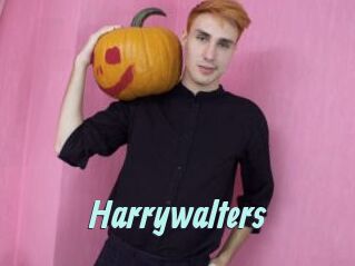 Harrywalters