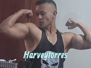 Harveytorres