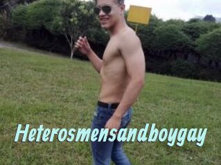 Heterosmensandboygay