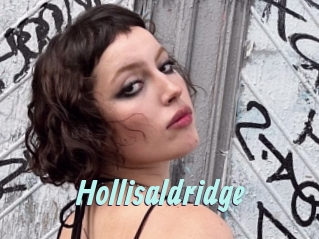 Hollisaldridge