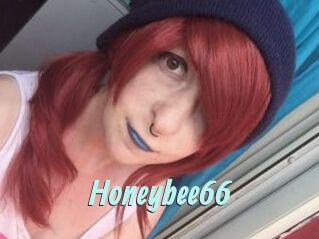 Honeybee66