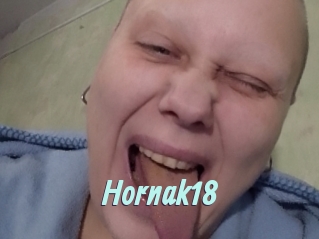 Hornak18