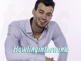 Howlinginthewind