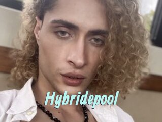 Hybridepool