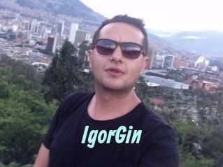 IgorGin