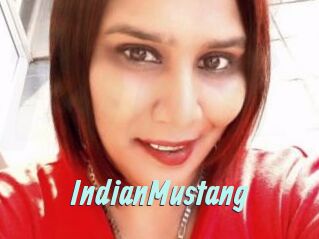 IndianMustang