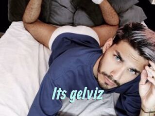 Its_gelviz